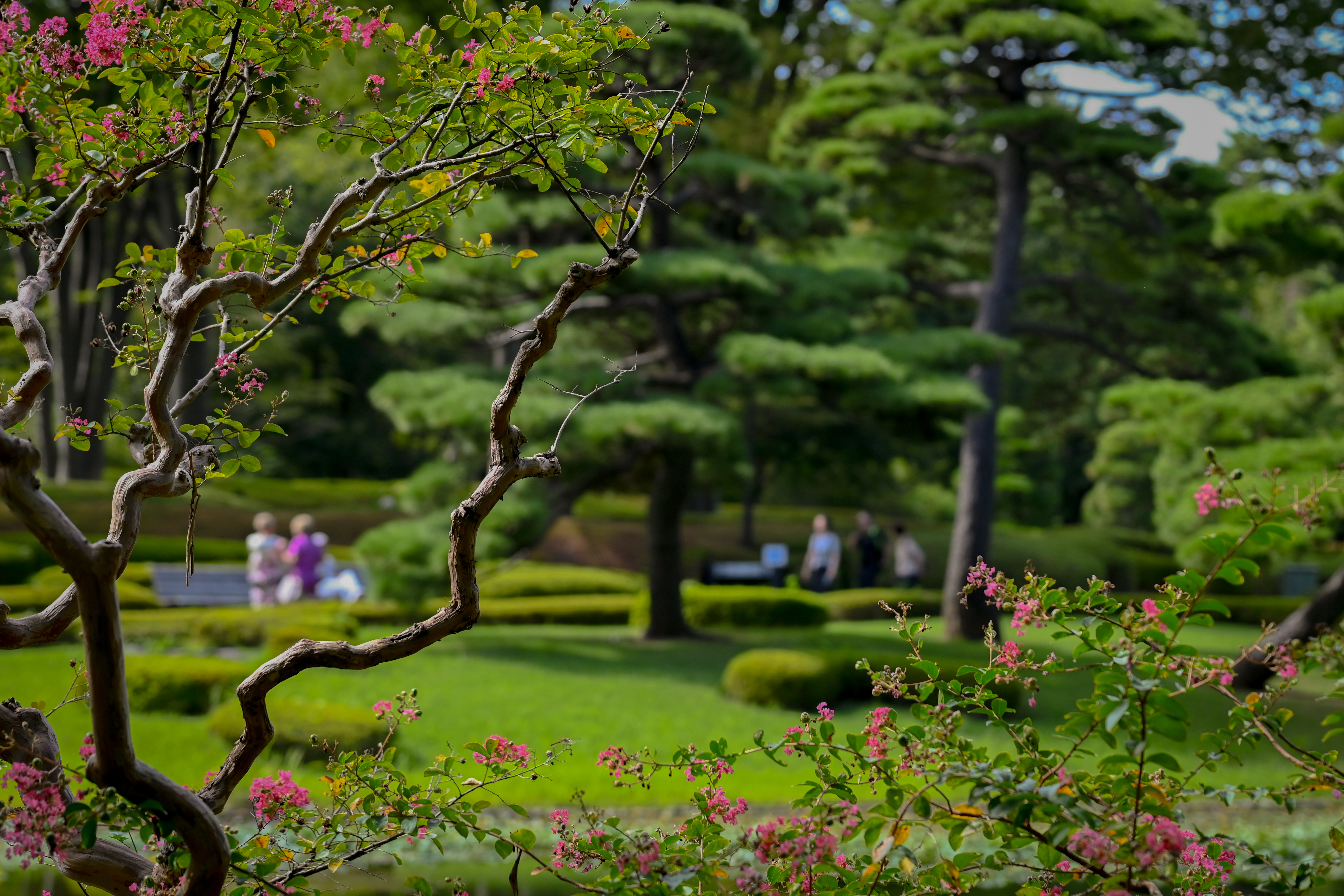 Travelogues of Japan #1 – Arrival to Tokyo